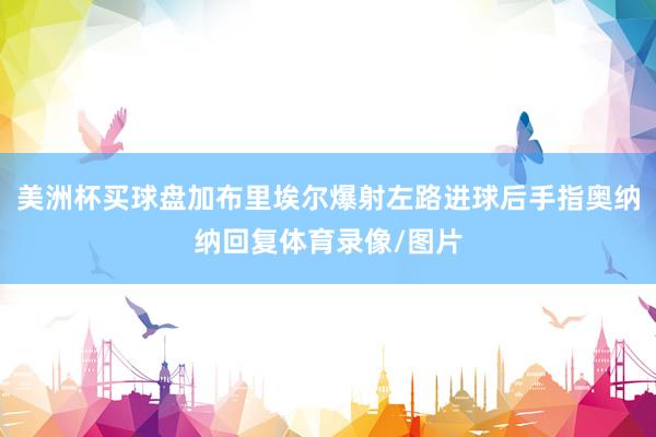 美洲杯买球盘加布里埃尔爆射左路进球后手指奥纳纳回复体育录像/图片