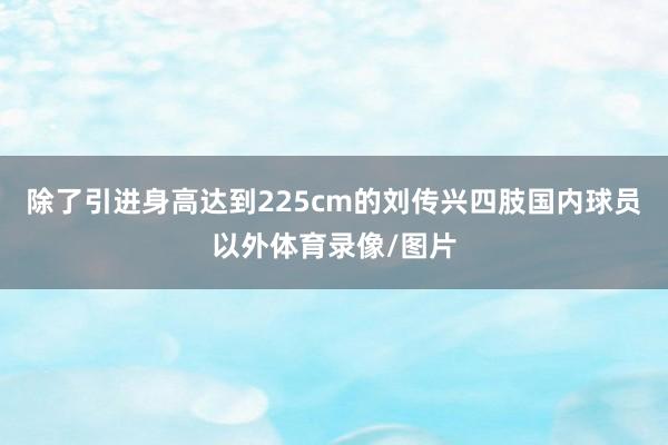 除了引进身高达到225cm的刘传兴四肢国内球员以外体育录像/图片