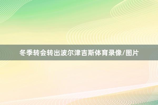 冬季转会转出波尔津吉斯体育录像/图片