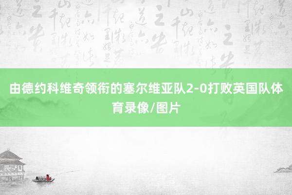 由德约科维奇领衔的塞尔维亚队2-0打败英国队体育录像/图片