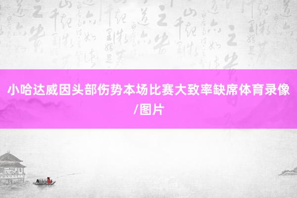 小哈达威因头部伤势本场比赛大致率缺席体育录像/图片