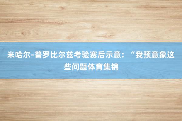 米哈尔-普罗比尔兹考验赛后示意：“我预意象这些问题体育集锦