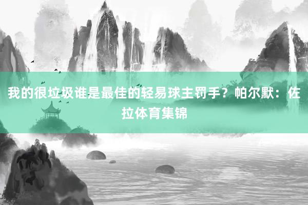 我的很垃圾谁是最佳的轻易球主罚手？帕尔默：佐拉体育集锦