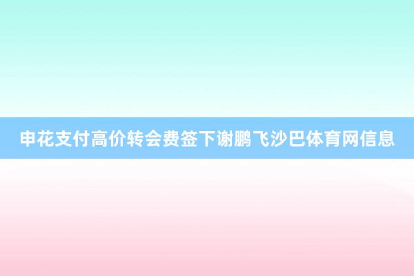 申花支付高价转会费签下谢鹏飞沙巴体育网信息