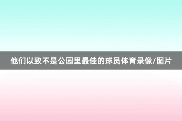 他们以致不是公园里最佳的球员体育录像/图片