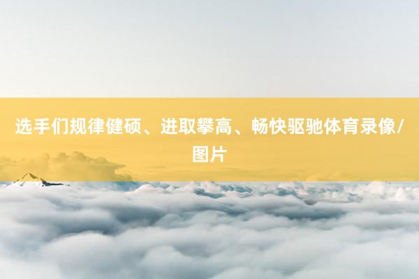 选手们规律健硕、进取攀高、畅快驱驰体育录像/图片