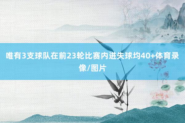 唯有3支球队在前23轮比赛内进失球均40+体育录像/图片